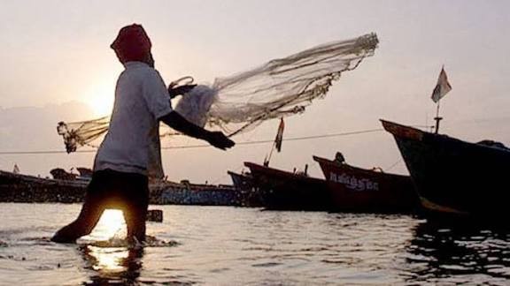 India’s fisheries sector shifts focus to value addition, mobile marketing and technology