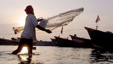India’s fisheries sector shifts focus to value addition, mobile marketing and technology